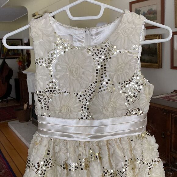 Cinderella Little Girl’s Party Dress - Picture 2 of 13